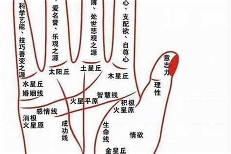 什么手相代表漏财？漏财手的化解之法_什么样的手相能发大财,第3张